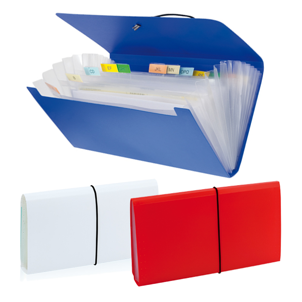 ORGANIZADOR LEMEK