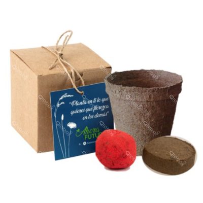 Eco box bomba de semilla
