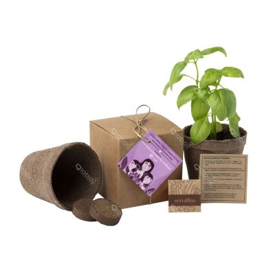 Garden eco
