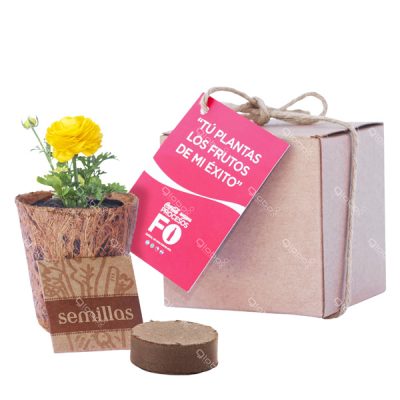 KIT DE SIEMBRA 23 Mini Huerto