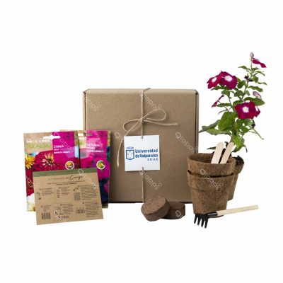 Mix Flores Kit 048