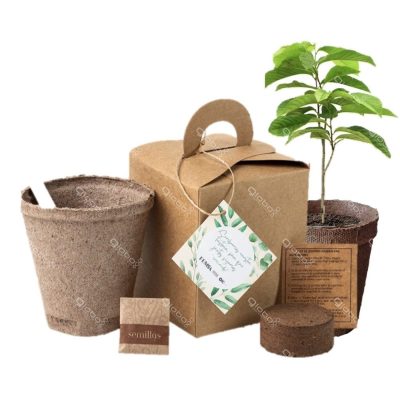Siembra un árbol