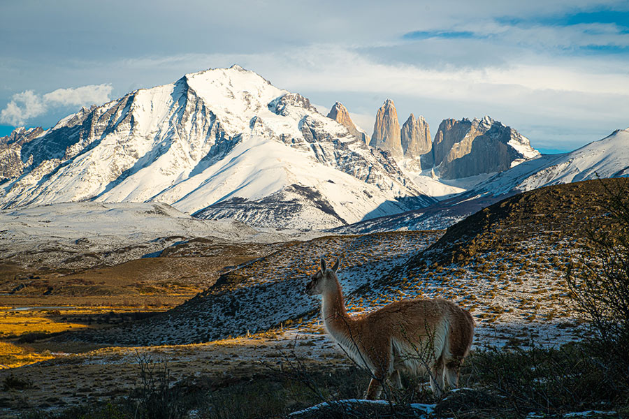 Torres del Paine desde Puerto Natales