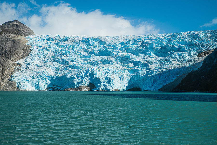 Whales, Penguins and Glaciers