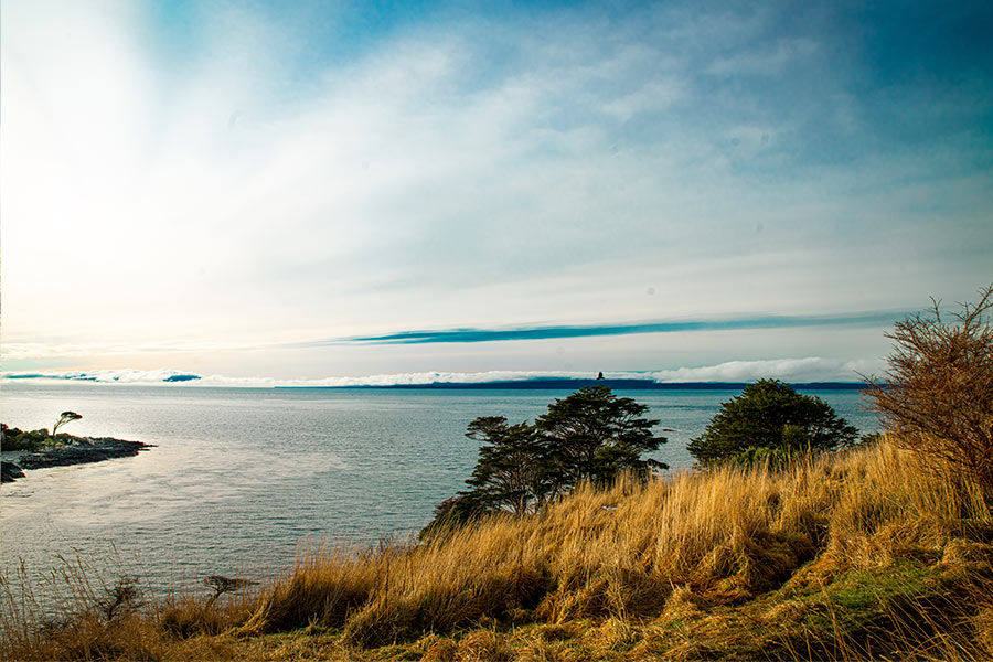 Horseback riding in Patagonia