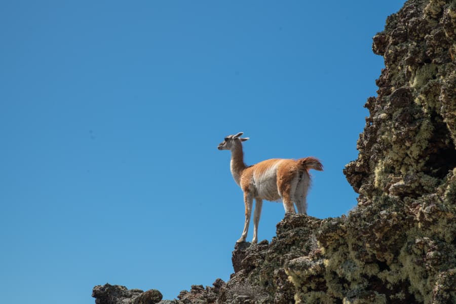 Parque Nacional Pali Aike