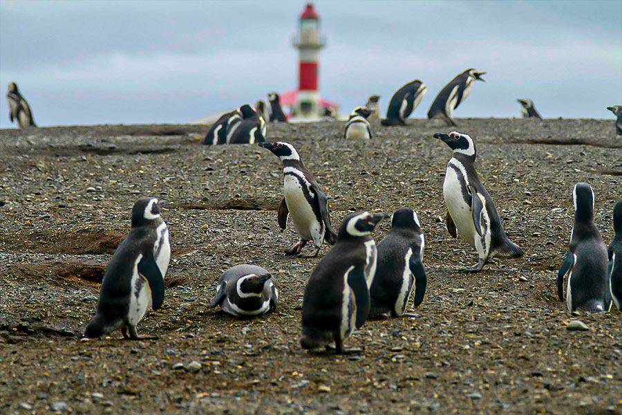 Navegación Isla Magdalena